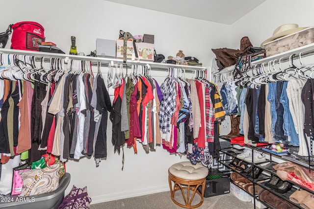 walk in closet featuring carpet flooring