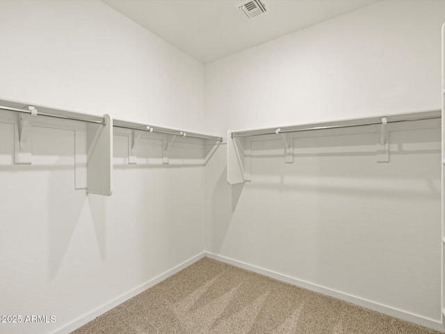 spacious closet featuring carpet flooring