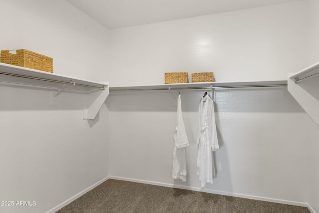 walk in closet featuring carpet flooring