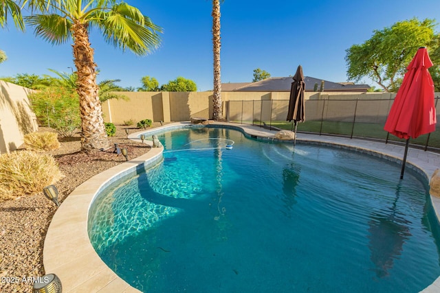 3532 W Mesquite Ave, San Tan Valley, AZ 85144 - view of swimming pool featuring a fenced backyard