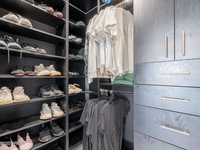 4748 E Redfield Rd, Phoenix, AZ 85032 - view of spacious closet
