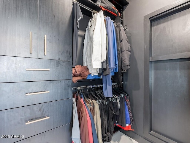 4748 E Redfield Rd, Phoenix, AZ 85032 - view of spacious closet
