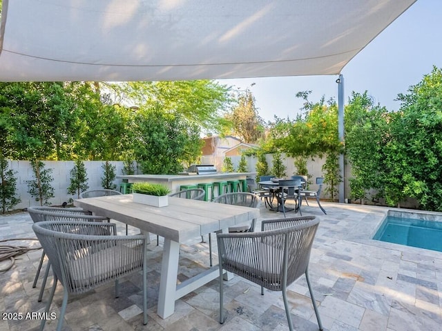 4748 E Redfield Rd, Phoenix, AZ 85032 - fenced backyard with outdoor dining space and a patio
