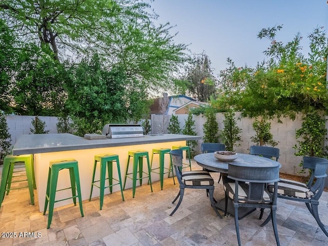 4748 E Redfield Rd, Phoenix, AZ 85032 - fenced backyard with a patio area and grilling area