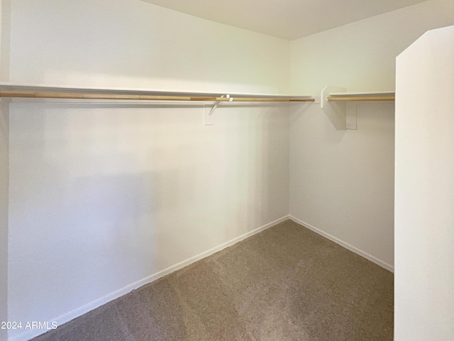 walk in closet with carpet