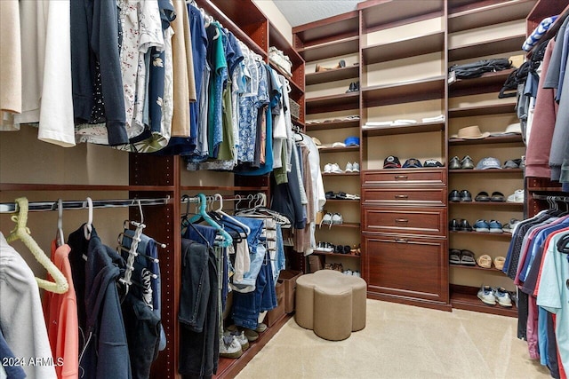 spacious closet with light carpet