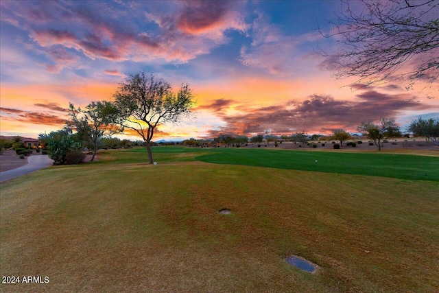 view of yard at dusk