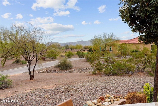 view of yard with a mountain view