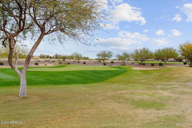 view of community with a lawn