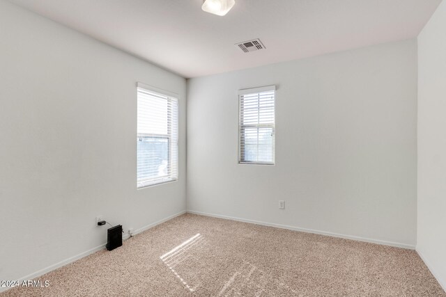 carpeted empty room featuring a wealth of natural light