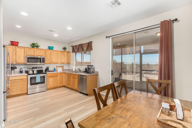 kitchen featuring sink, light hardwood / wood-style floors, and appliances with stainless steel finishes