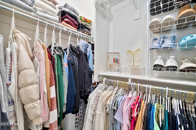 view of spacious closet