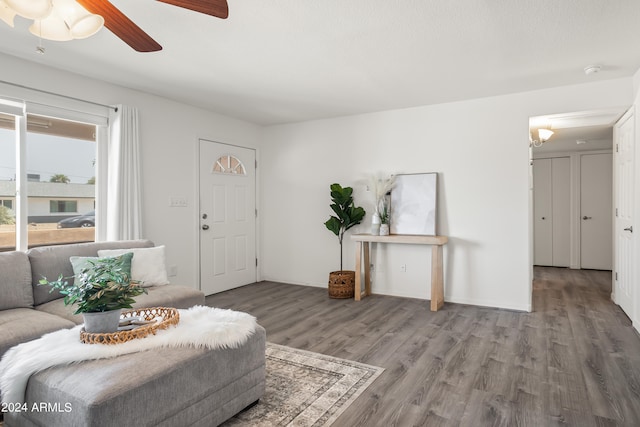 living room featuring ceiling fan and wood-type flooring