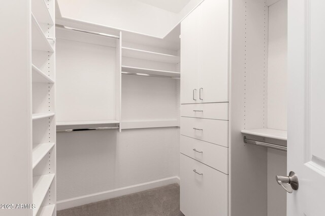 36145 N Desert Tea Dr, Queen Creek, AZ 85140 - walk in closet with carpet