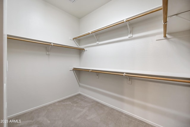 walk in closet featuring carpet floors