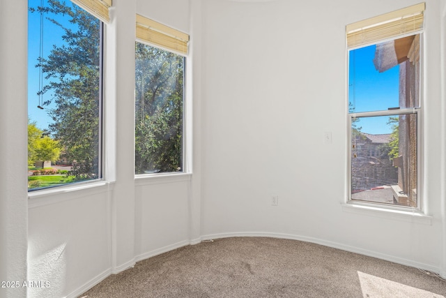 spare room with baseboards and carpet floors