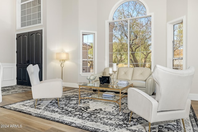 sitting room featuring a wealth of natural light, a high ceiling, and hardwood / wood-style flooring