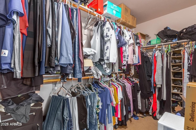 view of spacious closet