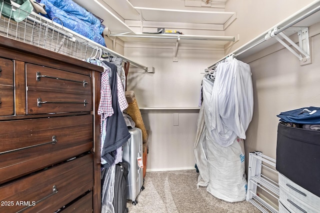 5428 W Wethersfield Dr, Glendale, AZ 85304 - walk in closet featuring carpet flooring
