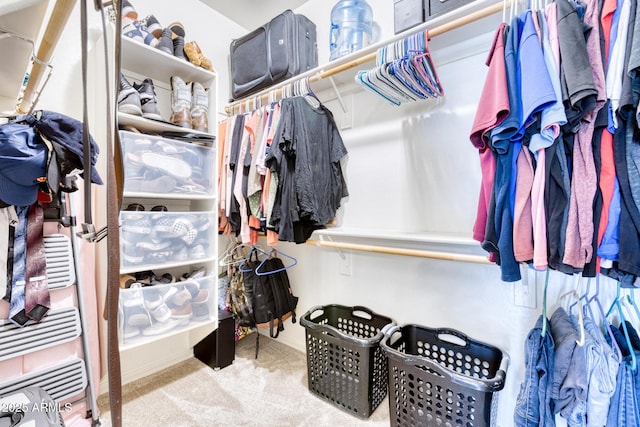 spacious closet with light carpet