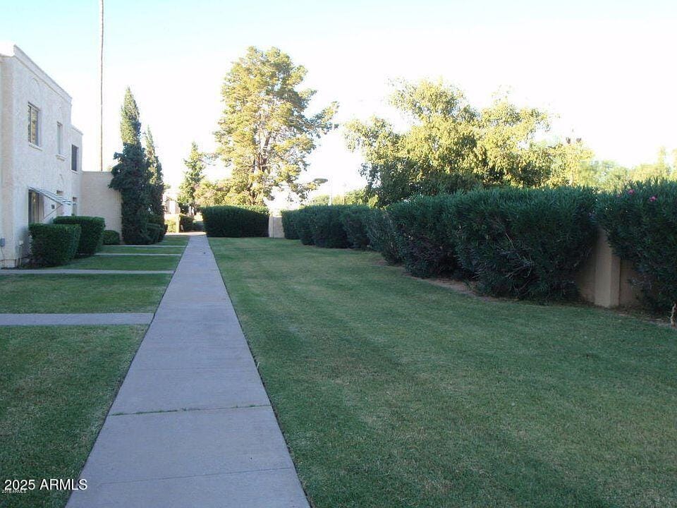 5703 N 43rd Ln, Glendale, AZ 85301 - view of yard
