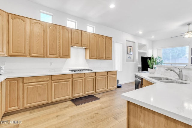 kitchen featuring sink, ceiling fan, stainless steel appliances, light brown cabinets, and light wood-type flooring