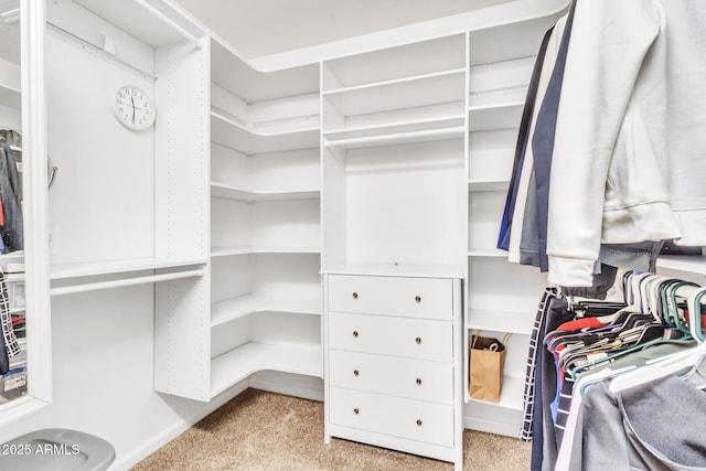 spacious closet with light carpet