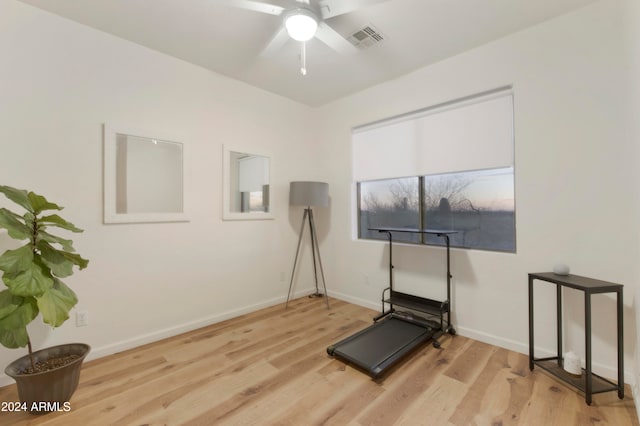 workout room featuring ceiling fan and light hardwood / wood-style floors