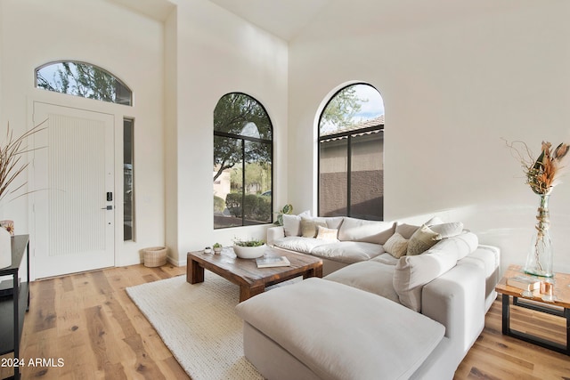 living room featuring a wealth of natural light, light hardwood / wood-style floors, and a high ceiling