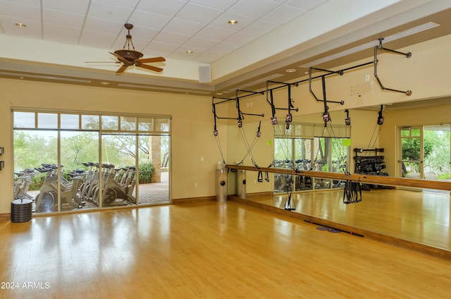 workout area with a paneled ceiling, hardwood / wood-style flooring, and ceiling fan