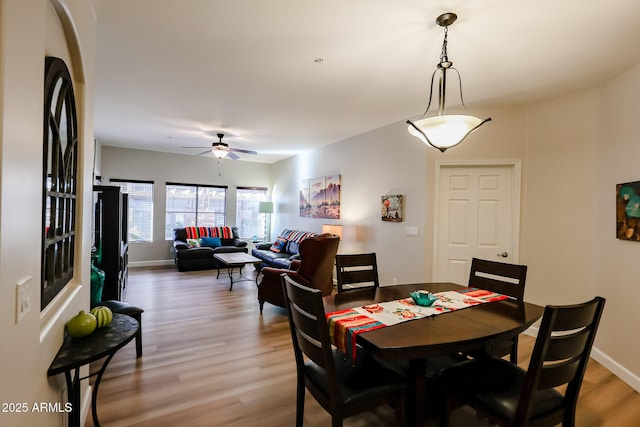 dining room with hardwood / wood-style flooring and ceiling fan