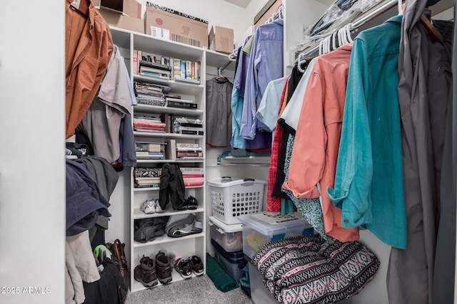 walk in closet featuring carpet flooring