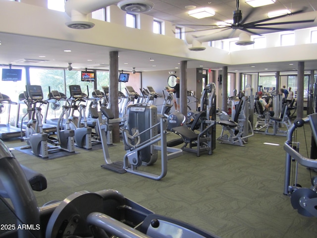 6917 E Night Glow Cir, Scottsdale, AZ 85266 - gym featuring carpet flooring, plenty of natural light, ceiling fan, and a high ceiling