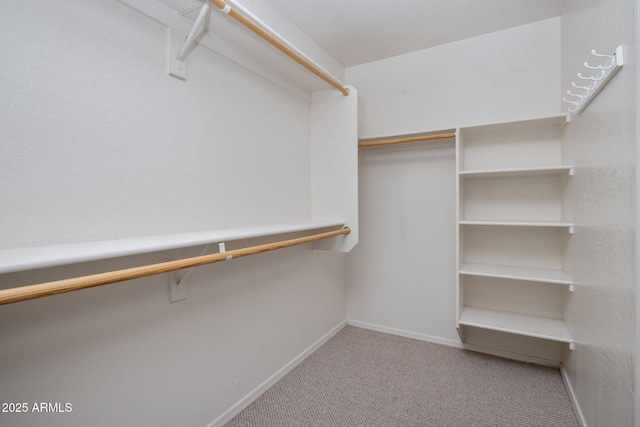 2615 W Silver Streak Way, San Tan Valley, AZ 85144 - walk in closet with carpet flooring