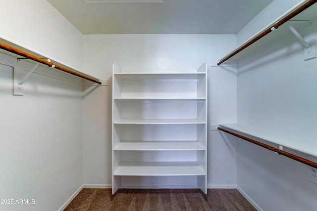 spacious closet with carpet floors