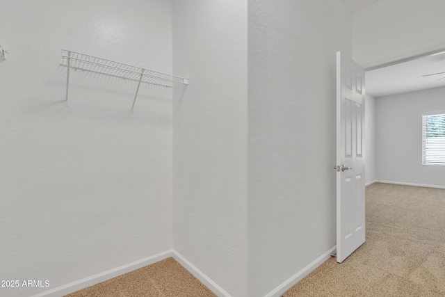9261 W Sheridan St, Phoenix, AZ 85037 - walk in closet with light colored carpet
