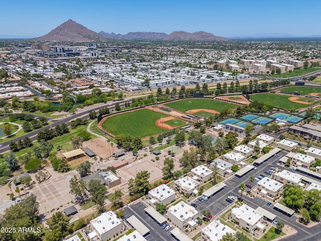 4228 N 81st St, Scottsdale, AZ 85251