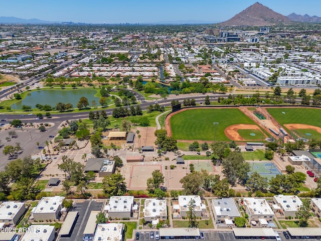 4228 N 81st St, Scottsdale, AZ 85251