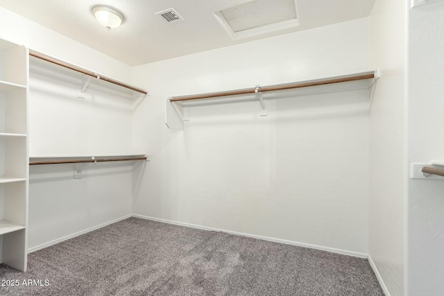 walk in closet featuring attic access, carpet flooring, and visible vents