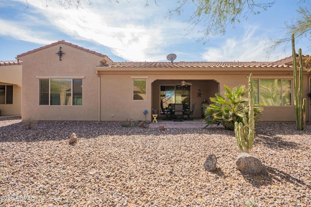 back of property featuring a patio area and stucco siding