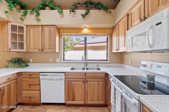 kitchen featuring sink, light hardwood / wood-style flooring, and white appliances