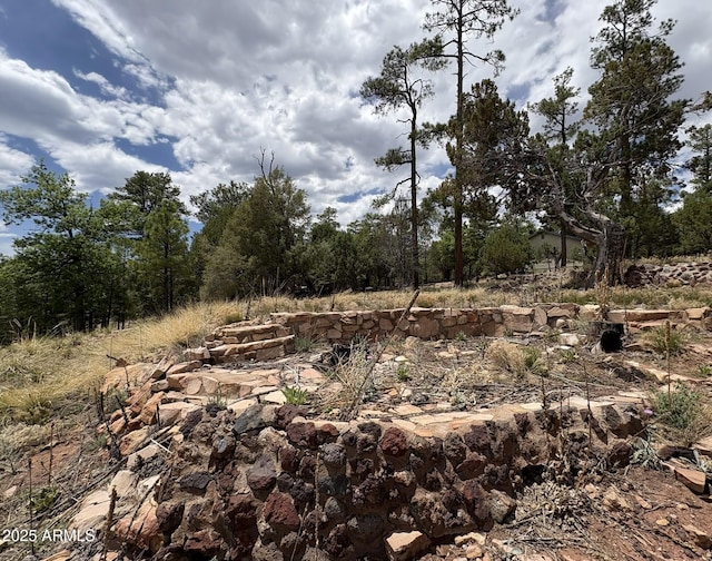 1259 Douglas Fir Way Unit 85, Happy Jack, AZ 86024