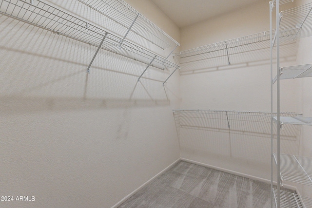 spacious closet with carpet floors