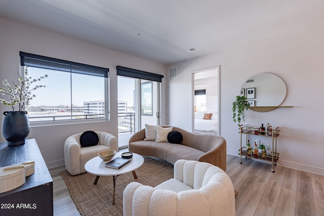 living room featuring light hardwood / wood-style flooring