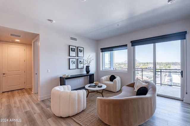 living room with light hardwood / wood-style flooring