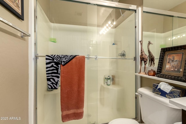 6031 N Milano Ct, Litchfield Park, AZ 85340 - bathroom with toilet and a shower stall