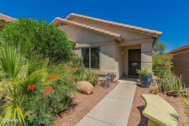 6031 N Milano Ct, Litchfield Park, AZ 85340 - view of exterior entry featuring stucco siding