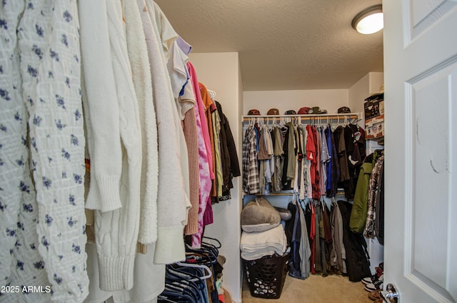 2325 S 88th Dr, Tolleson, AZ 85353 - spacious closet with carpet floors
