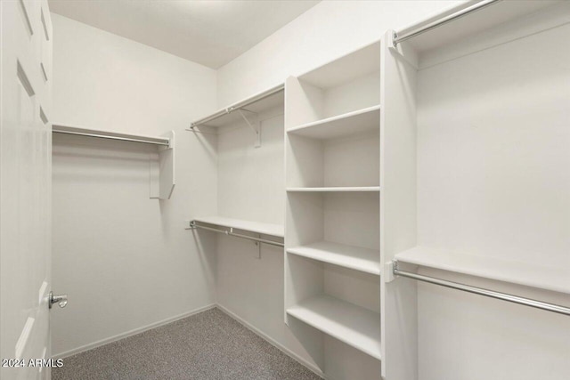 spacious closet featuring carpet flooring