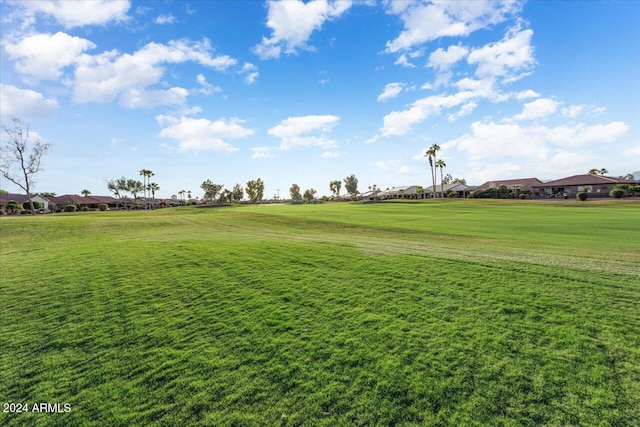 view of home's community with a lawn